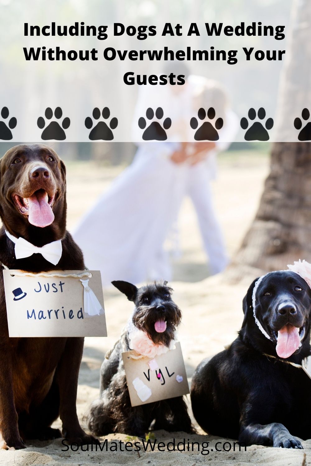 Tips for including dogs at your wedding